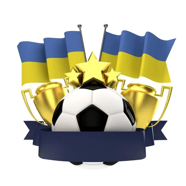 流程与合规展示图